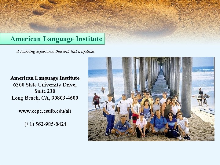 American Language Institute A learning experience that will last a lifetime. American Language Institute