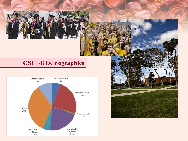 CSULB Demographics 