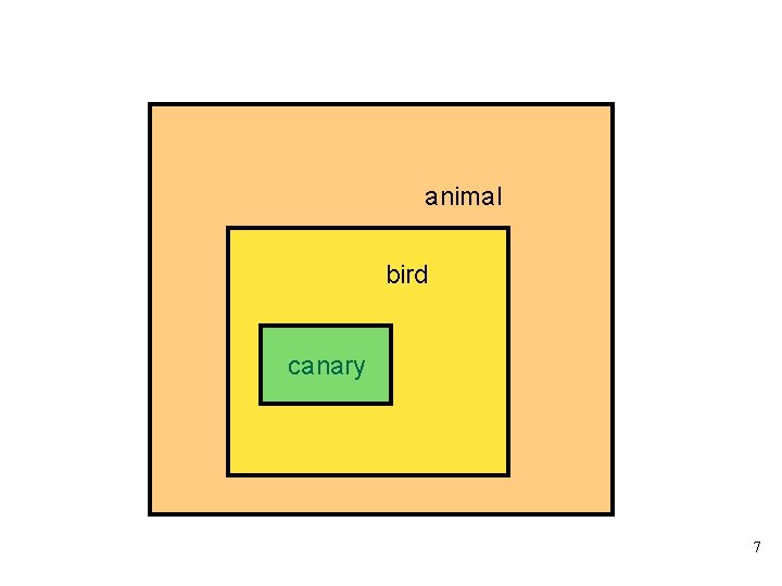 From Species to Genera animal bird canary 7 