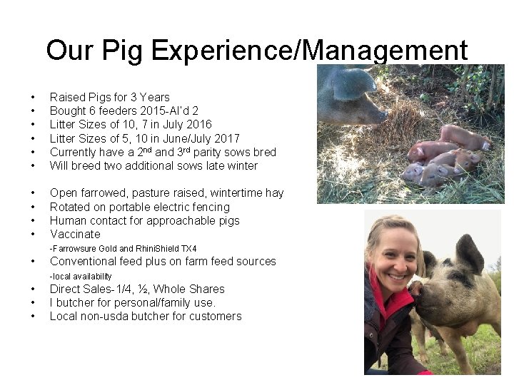 Our Pig Experience/Management • • • Raised Pigs for 3 Years Bought 6 feeders