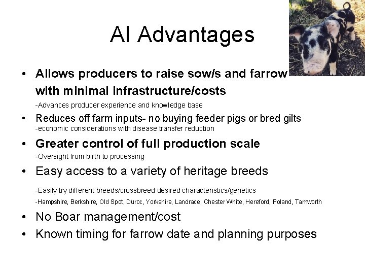 AI Advantages • Allows producers to raise sow/s and farrow with minimal infrastructure/costs -Advances
