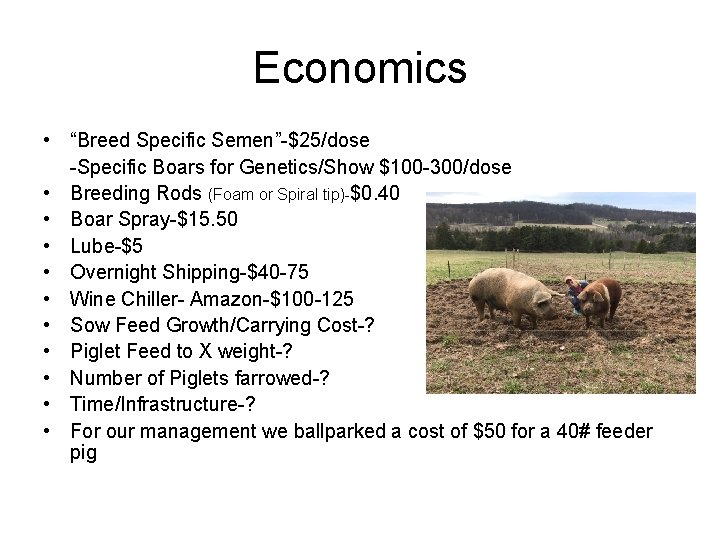 Economics • “Breed Specific Semen”-$25/dose -Specific Boars for Genetics/Show $100 -300/dose • Breeding Rods