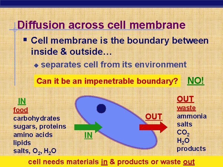 Diffusion across cell membrane § Cell membrane is the boundary between inside & outside…