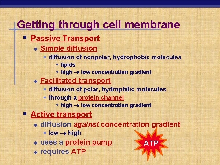 Getting through cell membrane § Passive Transport u Simple diffusion § diffusion of nonpolar,