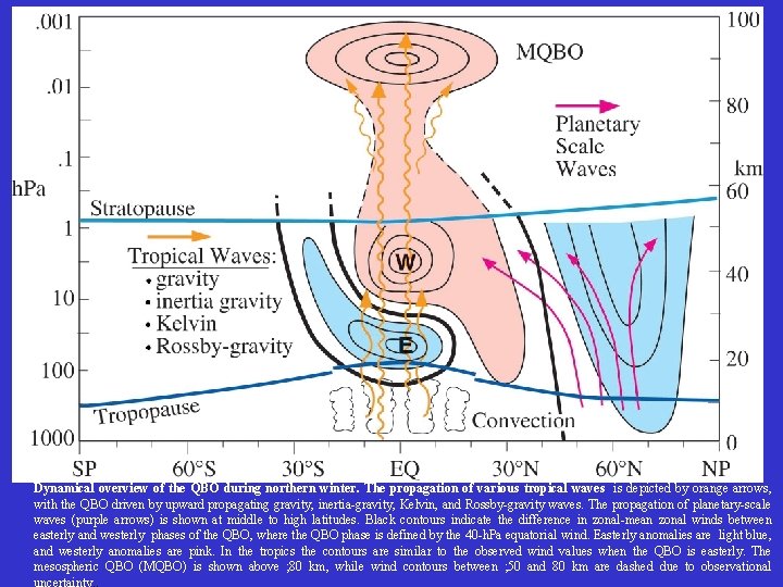 Dynamical overview of the QBO during northern winter. The propagation of various tropical waves