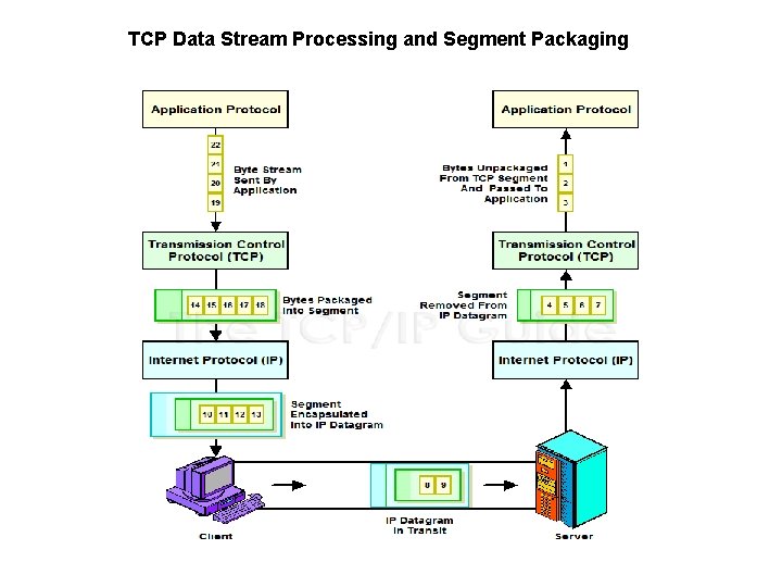 TCP Data Stream Processing and Segment Packaging 