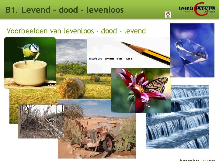 B 1. Levend – dood - levenloos Voorbeelden van levenloos - dood - levend