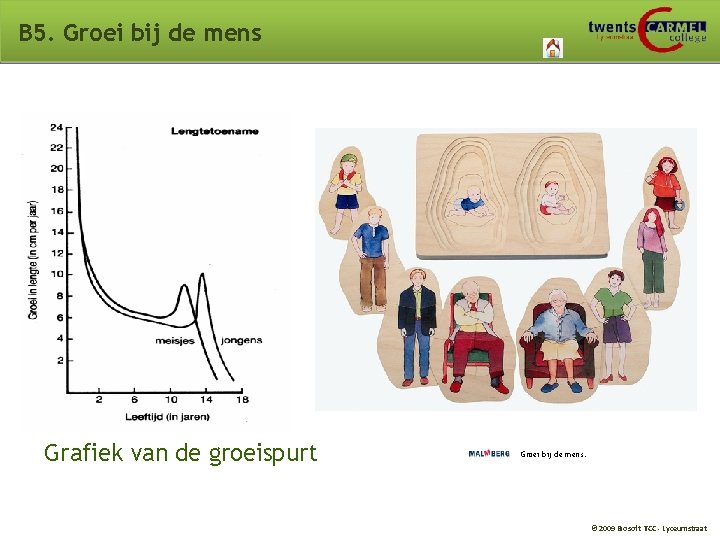 B 5. Groei bij de mens Grafiek van de groeispurt Groei bij de mens.