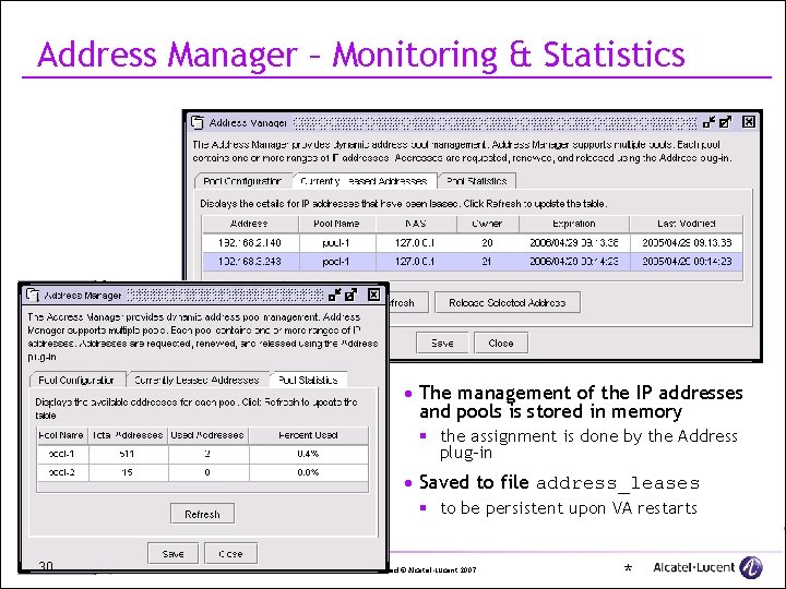 Address Manager – Monitoring & Statistics · The management of the IP addresses and