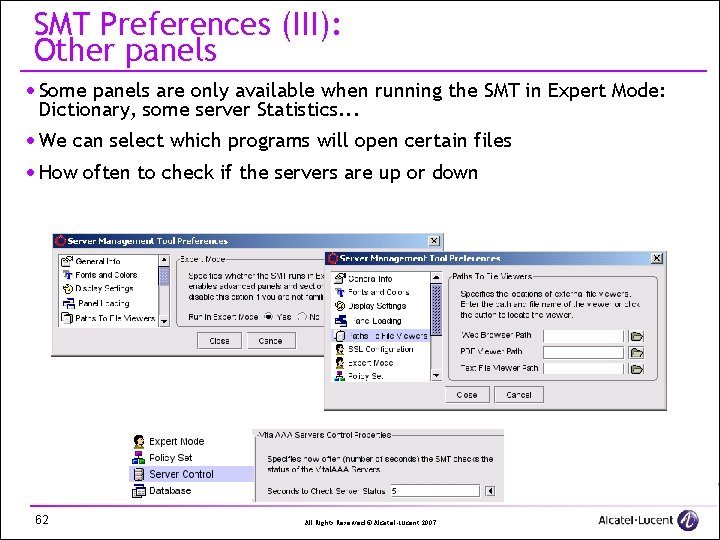 SMT Preferences (III): Other panels · Some panels are only available when running the