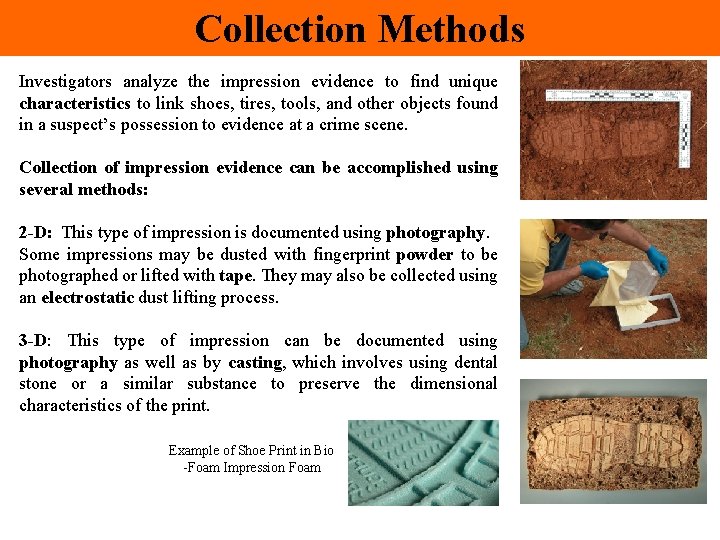 Collection Methods Investigators analyze the impression evidence to find unique characteristics to link shoes,