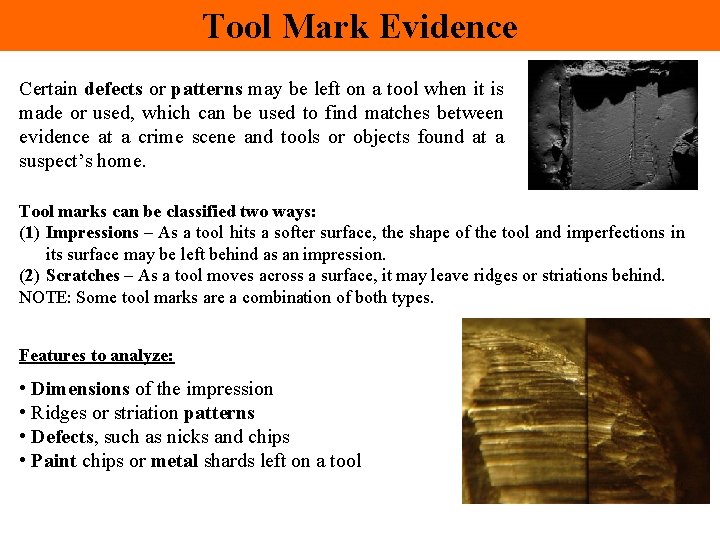 Tool Mark Evidence Certain defects or patterns may be left on a tool when