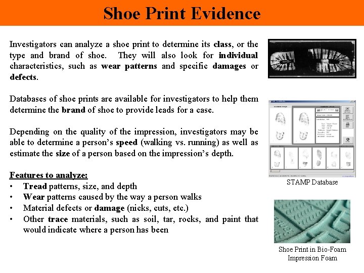 Shoe Print Evidence Investigators can analyze a shoe print to determine its class, or