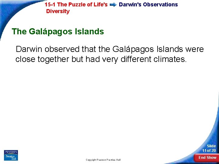 15 -1 The Puzzle of Life's Diversity Darwin's Observations The Galápagos Islands Darwin observed