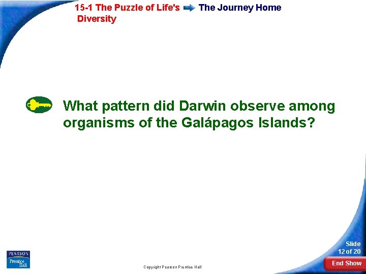 15 -1 The Puzzle of Life's Diversity The Journey Home What pattern did Darwin