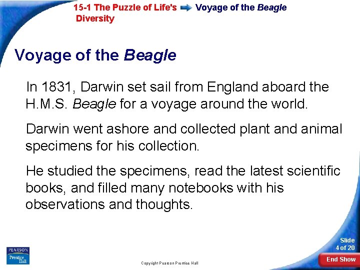 15 -1 The Puzzle of Life's Diversity Voyage of the Beagle In 1831, Darwin