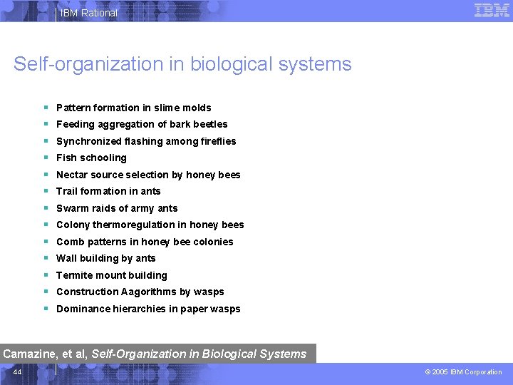 IBM Rational Self-organization in biological systems § § § § Pattern formation in slime