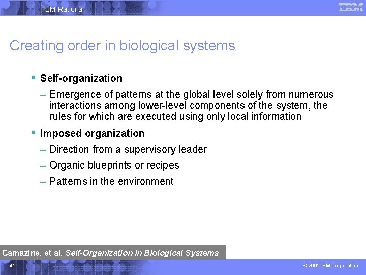 IBM Rational Creating order in biological systems § Self-organization – Emergence of patterns at