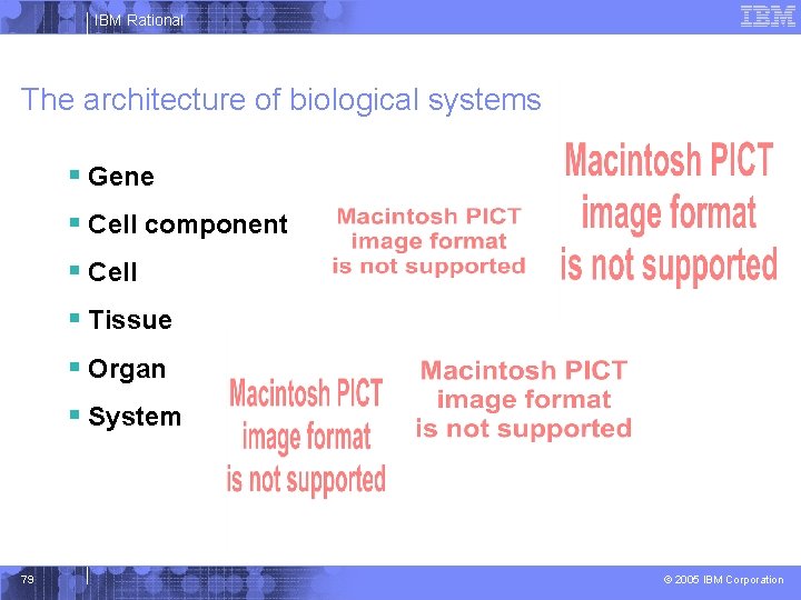 IBM Rational The architecture of biological systems § Gene § Cell component § Cell