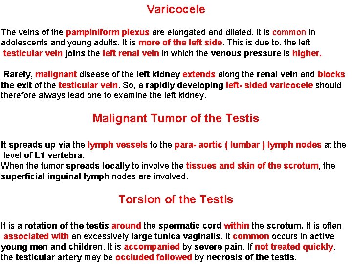 Varicocele The veins of the pampiniform plexus are elongated and dilated. It is common