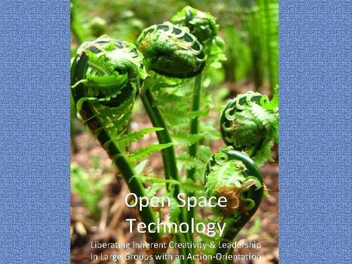Open Space Technology Liberating Inherent Creativity & Leadership Henri Lipmanowicz & Keith Mc. Candless
