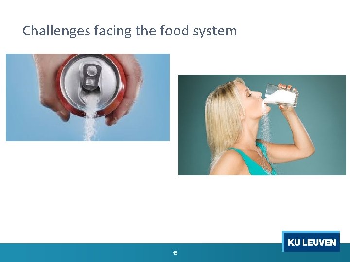 Challenges facing the food system 15 
