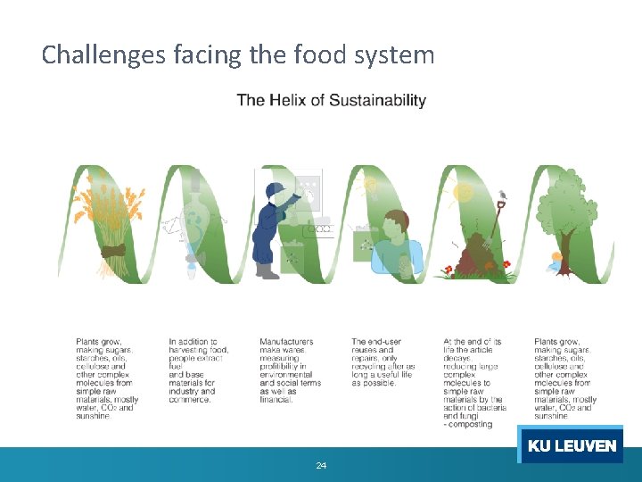 Challenges facing the food system 24 