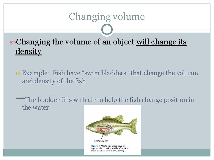 Changing volume Changing the volume of an object will change its density Example: Fish