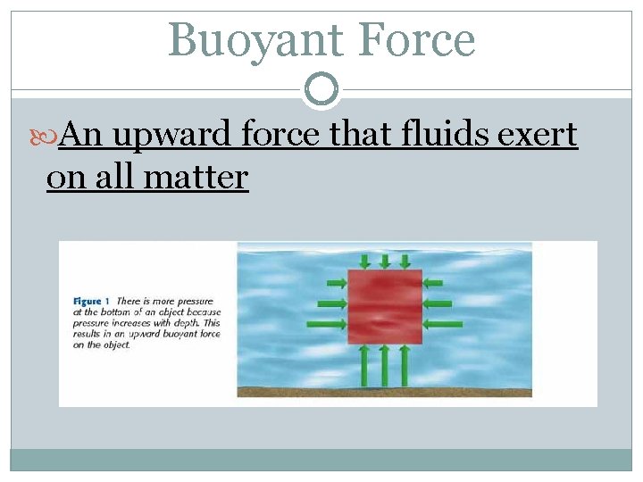 Buoyant Force An upward force that fluids exert on all matter 