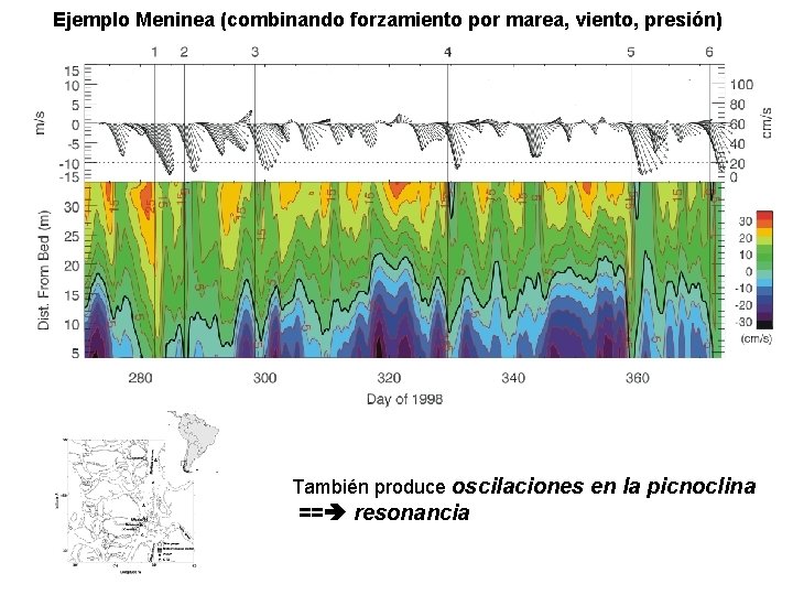 Ejemplo Meninea (combinando forzamiento por marea, viento, presión) También produce oscilaciones en la picnoclina