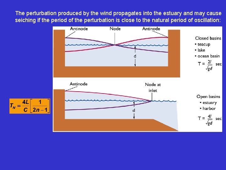 The perturbation produced by the wind propagates into the estuary and may cause seiching