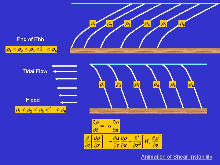 End of Ebb Tidal Flow Flood Animation of Shear Instability 