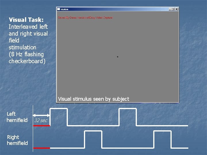 Visual Task: Interleaved left and right visual field stimulation (8 Hz flashing checkerboard) Visual