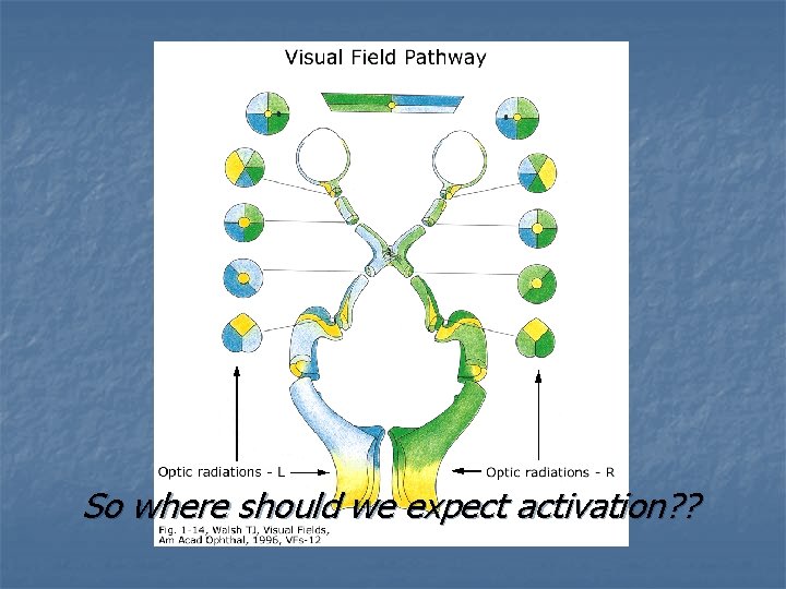 So where should we expect activation? ? 