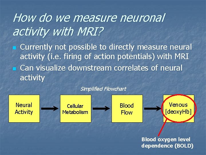 How do we measure neuronal activity with MRI? n n Currently not possible to