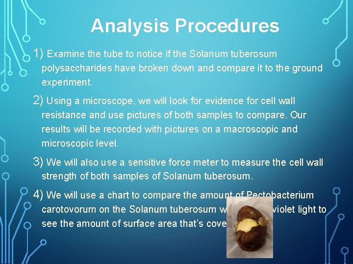 Analysis Procedures 1) Examine the tube to notice if the Solanum tuberosum polysaccharides have