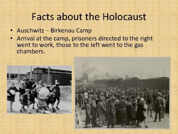 Facts about the Holocaust • Auschwitz – Birkenau Camp • Arrival at the camp,