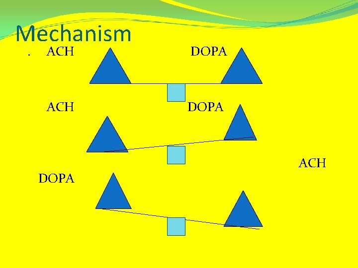 Mechanism. ACH DOPA ACH 