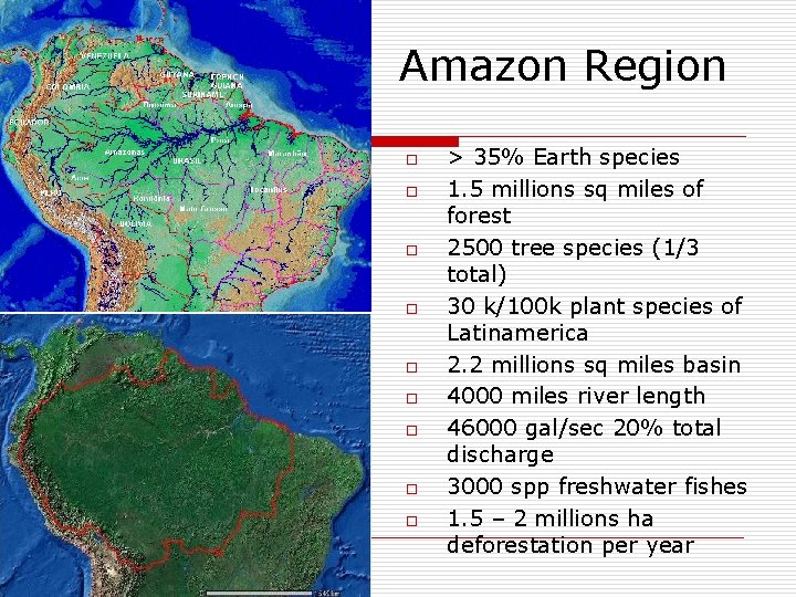 Amazon Region o o o o o > 35% Earth species 1. 5 millions