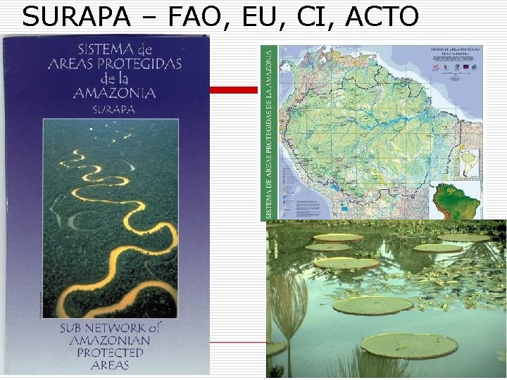 SURAPA – FAO, EU, CI, ACTO 