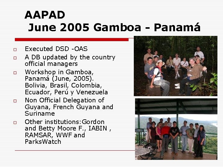 AAPAD June 2005 Gamboa - Panamá o o o Executed DSD -OAS A DB