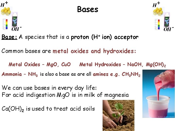 Bases Base: A species that is a proton (H+ ion) acceptor Common bases are