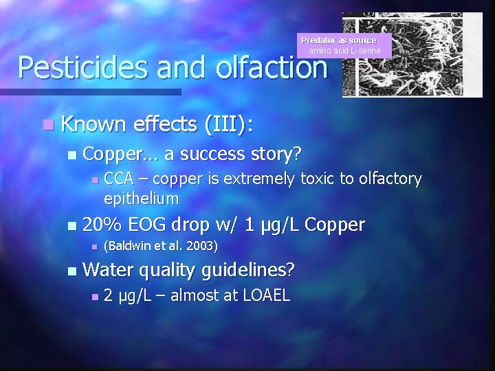 Predator as source amino acid L-serine Pesticides and olfaction n Known n Copper… a