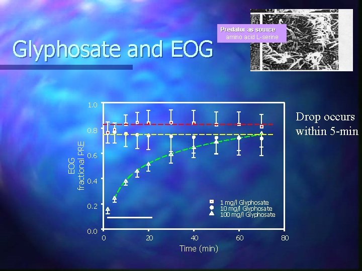 Glyphosate and EOG Predator as source amino acid L-serine 1. 0 Drop occurs within