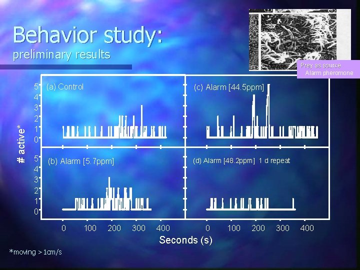 Behavior study: preliminary results # active* Prey as source Alarm pheromone 5 (a) Control