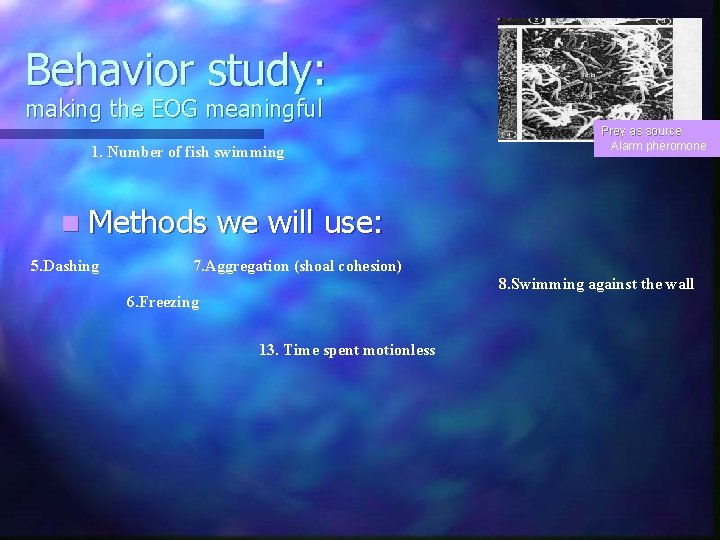 Behavior study: making the EOG meaningful 1. Number of fish swimming n Methods 5.