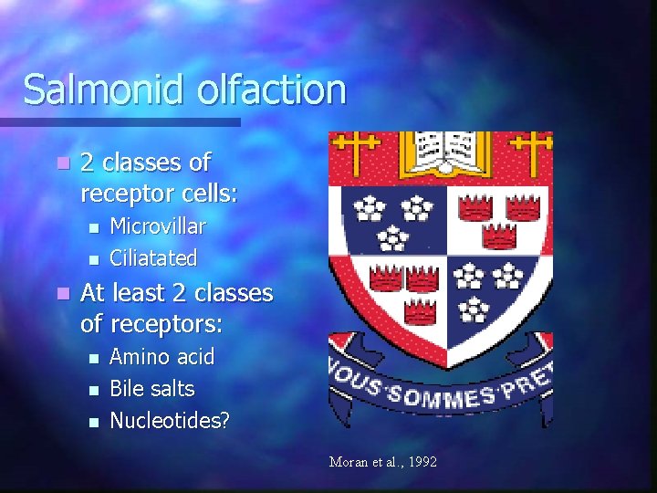 Salmonid olfaction n 2 classes of receptor cells: n n n Microvillar Ciliatated At