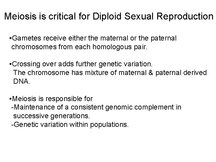 Meiosis is critical for Diploid Sexual Reproduction • Gametes receive either the maternal or
