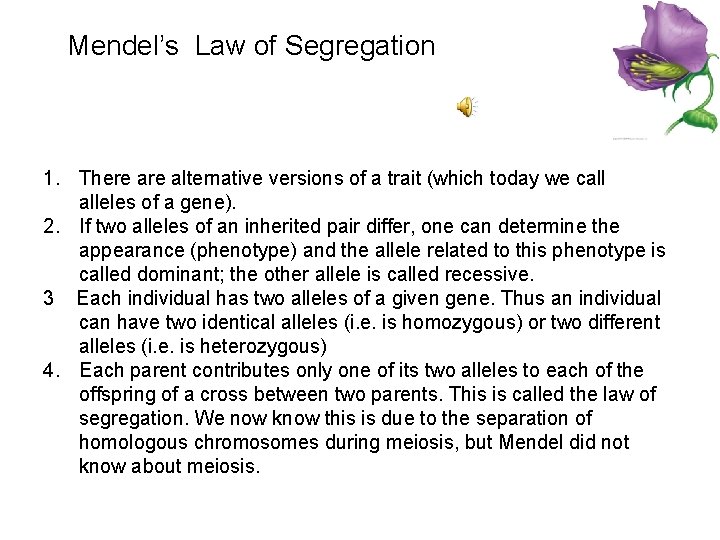 Mendel’s Law of Segregation 1. There alternative versions of a trait (which today we
