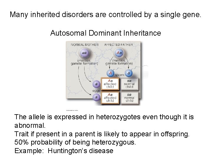 Many inherited disorders are controlled by a single gene. Autosomal Dominant Inheritance The allele